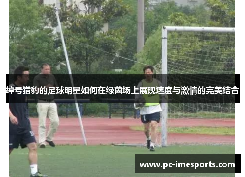 绰号猎豹的足球明星如何在绿茵场上展现速度与激情的完美结合